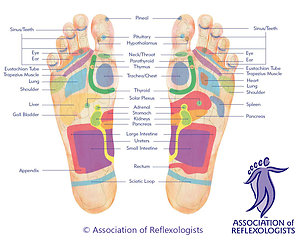 Home. Foot MAP Plantar 